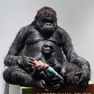 「Gorilla's mom」 2011