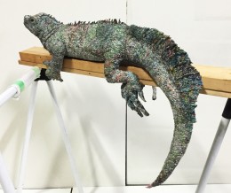 『とかげから見上げる空』